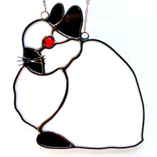 Load image into Gallery viewer, Jersey Wooly Rabbit