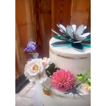 Load image into Gallery viewer, Ariocarpus Retusus Topper