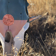 Load image into Gallery viewer, The Harvest Moon