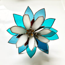 Load image into Gallery viewer, Ariocarpus Retusus Topper