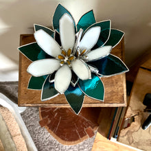 Load image into Gallery viewer, Ariocarpus Retusus Topper