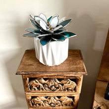 Load image into Gallery viewer, Ariocarpus Retusus Topper