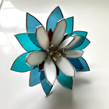 Load image into Gallery viewer, Ariocarpus Retusus Topper