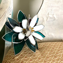 Load image into Gallery viewer, Ariocarpus Retusus Topper