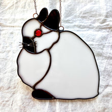 Load image into Gallery viewer, Jersey Wooly Rabbit
