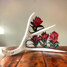 Load image into Gallery viewer, Indian Paintbrush Custom Piece
