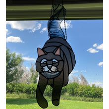 Load image into Gallery viewer, Winnie the Cat
