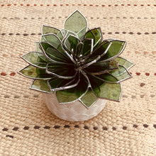 Load image into Gallery viewer, Echeveria Topper
